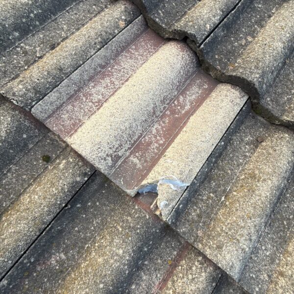 Chipped concrete roof tile surrounded by older tiled roofing at a Giralang home.