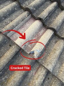 Close-up of a chipped concrete roof tile surrounded by older roof tiles at a Giralang home.