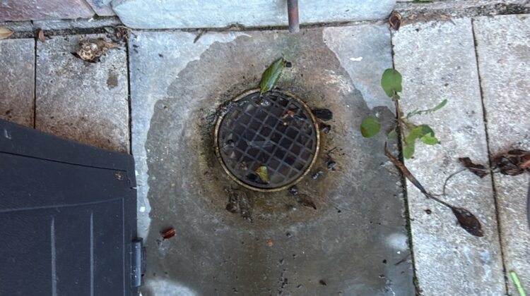 A blocked drain beside a single-level, three-bedroom townhouse in Stirling had started causing concern for the homeowner.