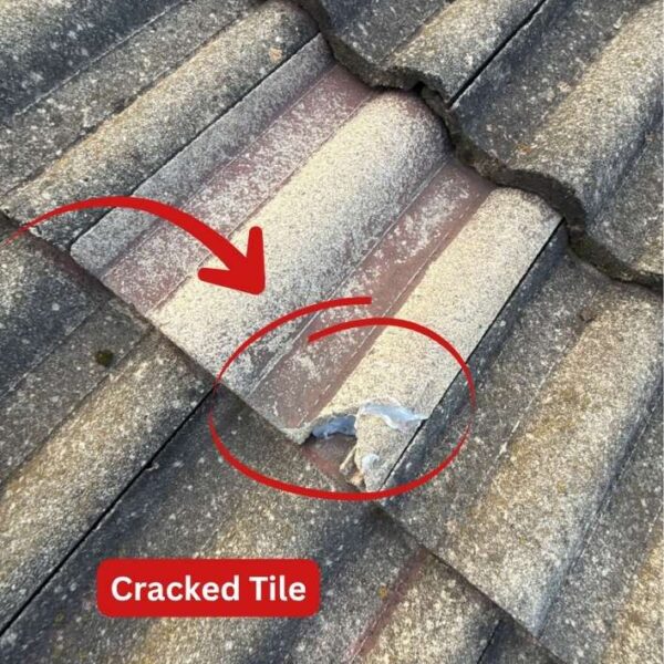 Image Annotated: A cracked roof tile found during the inspection at the Giralang home, Canberra Close-up of a chipped concrete roof tile surrounded by older tiles at a Canberra home.
