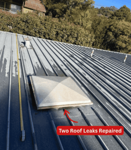 Wide view of the flat metal roof at a large single-storey home in Chapman.