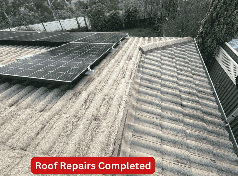 Recent Job: Roof Pointing, Capping and Cracked Tiles Repaired at a Giralang Home